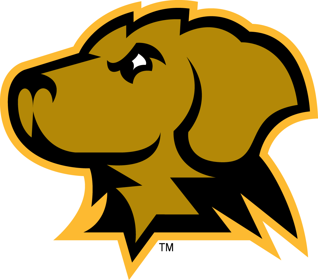 UMBC Retrievers 2010-Pres Secondary Logo iron on paper